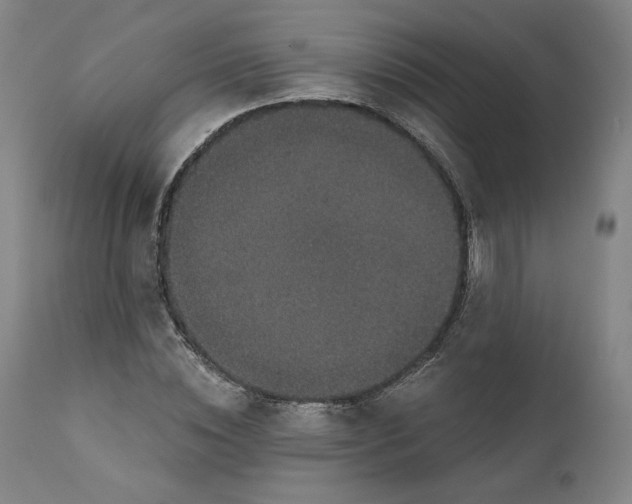 X0000111640828200908071340