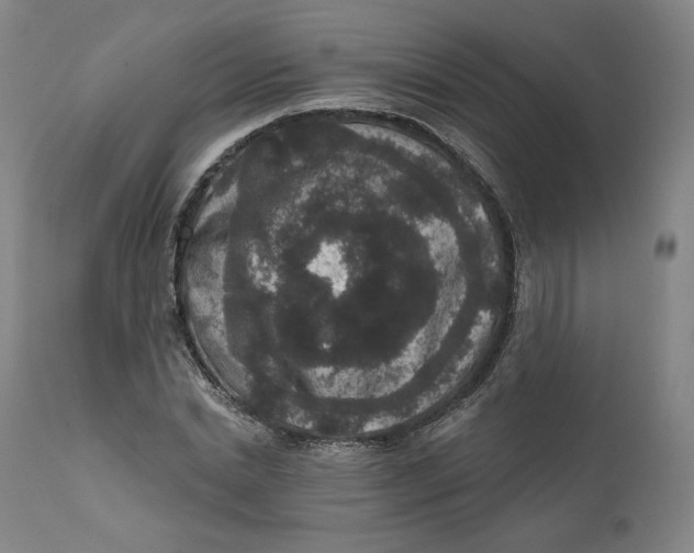 X0000111640830200908071340