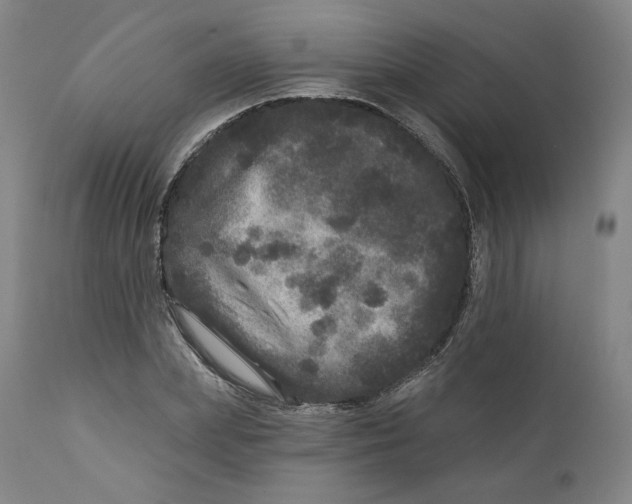 X0000111640831200908071340