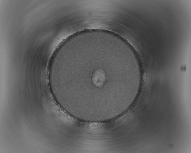 X0000111640832200908071340