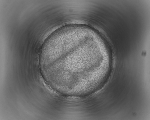 X0000111640833200908071340