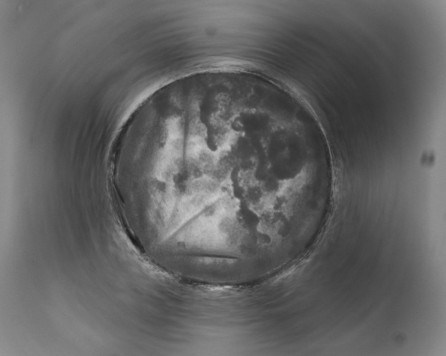 X0000111640835200908071340