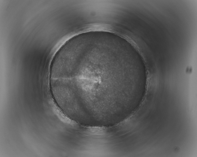 X0000111640836200908071340