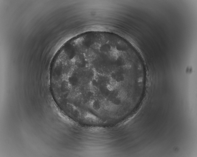 X0000111640837200908071340