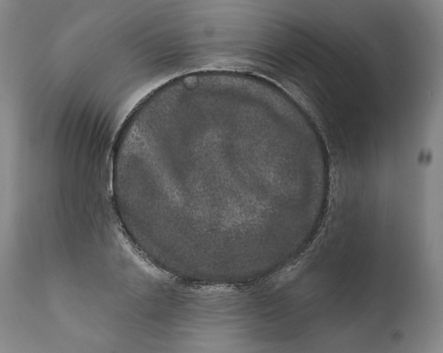 X0000111640838200908071340