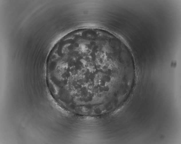 X0000111640839200908071340