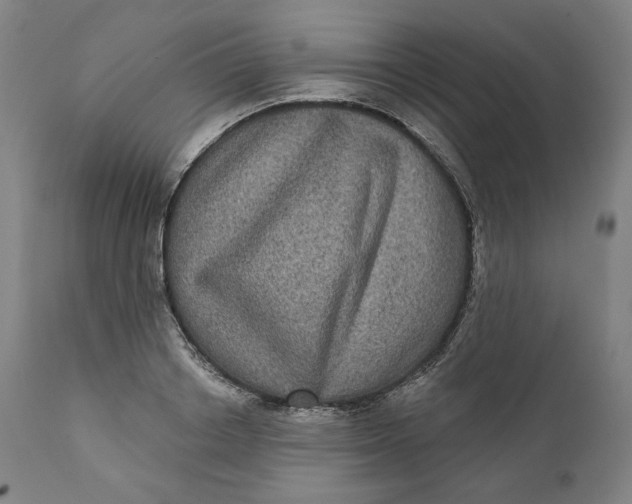 X0000111640842200908071340