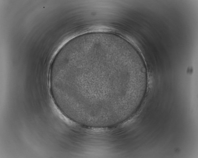 X0000111640843200908071340