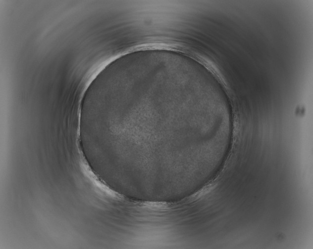 X0000111640844200908071340