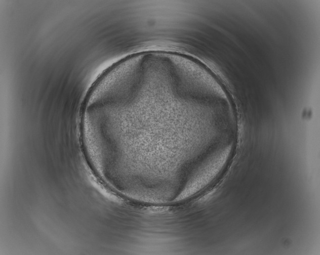 X0000111640846200908071340