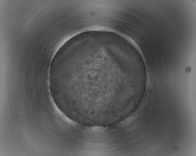 X0000111640847200908071340