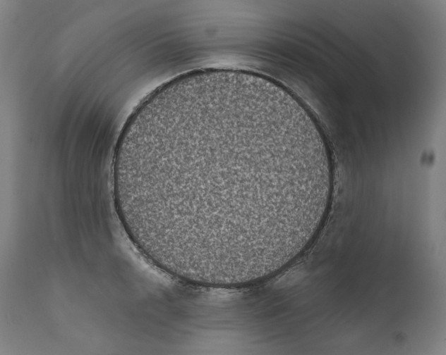 X0000111640848200908071340