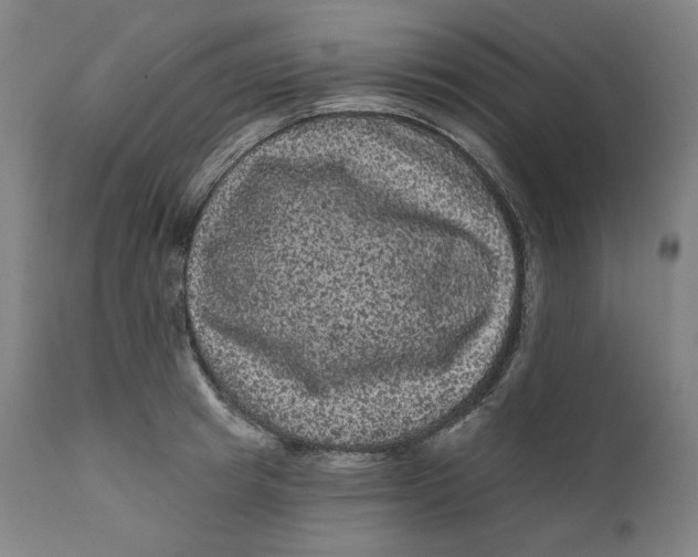 X0000111640849200908071340