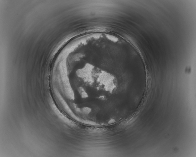 X0000111640851200908071340