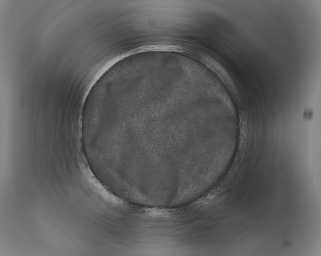 X0000111640852200908071340