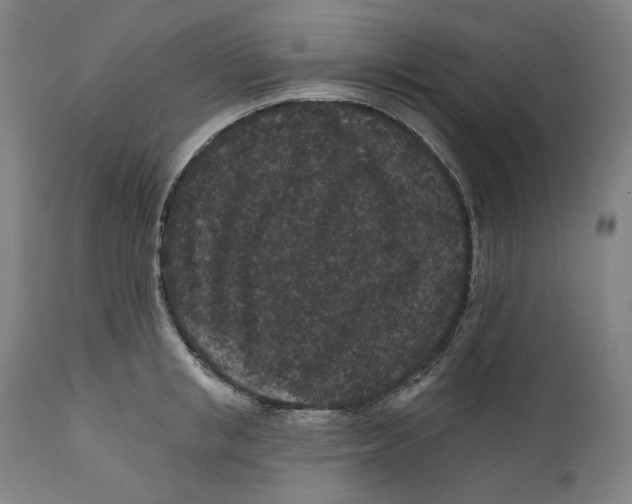 X0000111640853200908071340