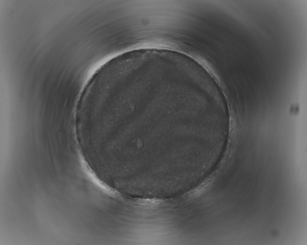 X0000111640854200908071340