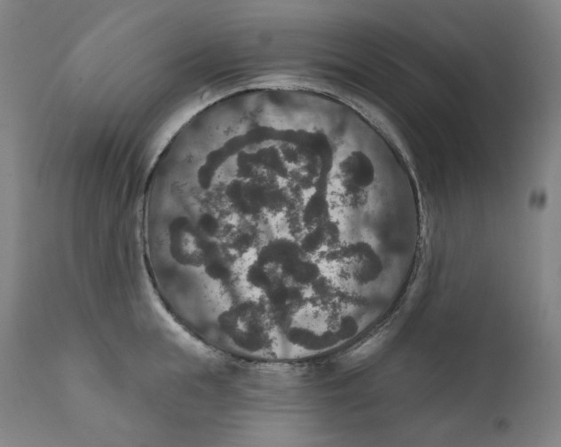 X0000111640855200908071340