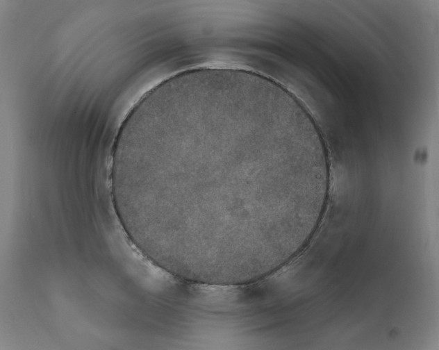 X0000111640856200908071340