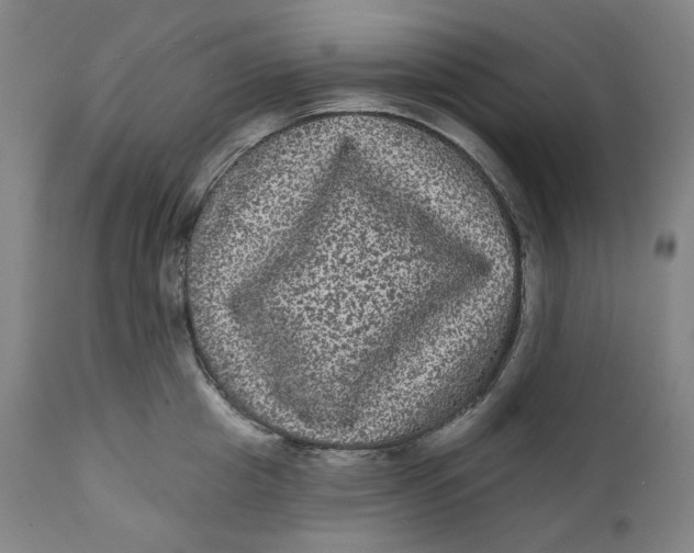 X0000111640857200908071340