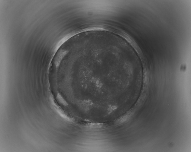 X0000111640858200908071340