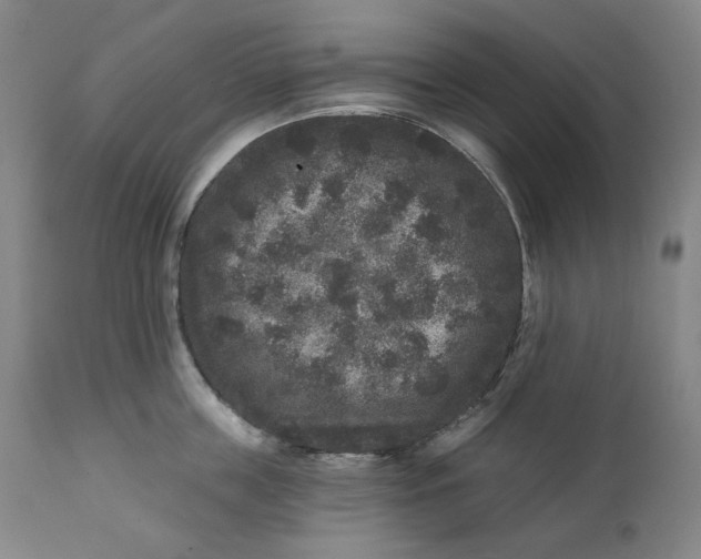 X0000111640859200908071340