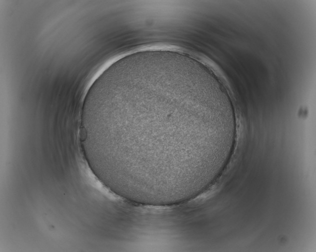 X0000111640860200908071340