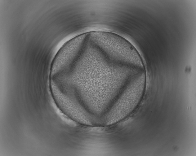 X0000111640861200908071340