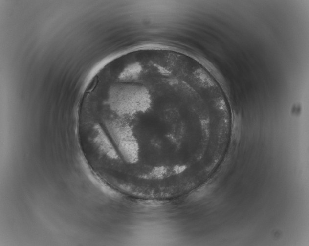 X0000111640862200908071340