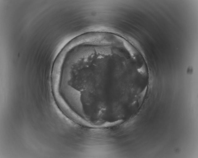 X0000111640863200908071340