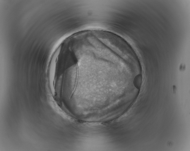 X0000111640864200908071340