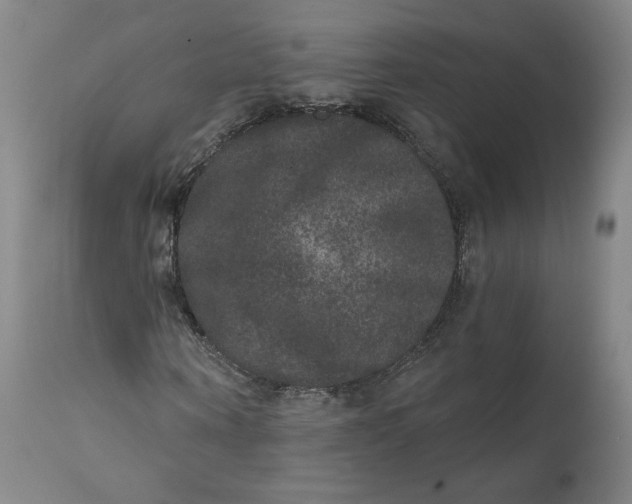 X0000111640866200908071339