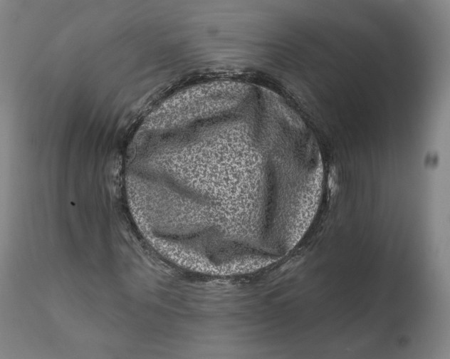 X0000111640867200908071339