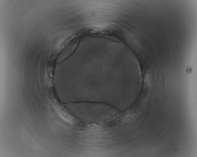 X0000111640868200908071339