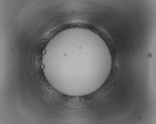 X0000111640869200908071339