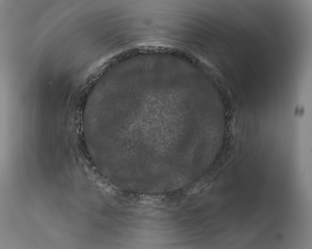 X0000111640870200908071339