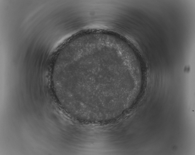 X0000111640872200908071339