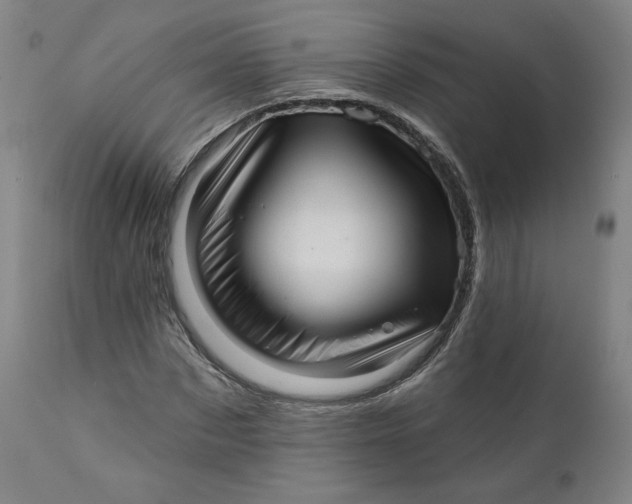 X0000111640873200908071339