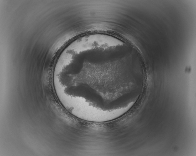 X0000111640874200908071339