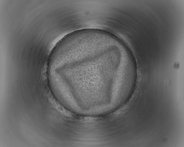 X0000111640875200908071339