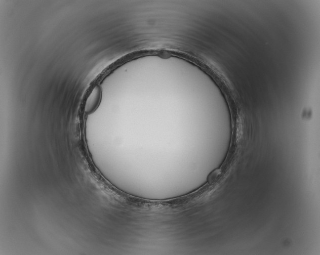 X0000111640876200908071339