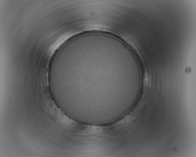 X0000111640877200908071339