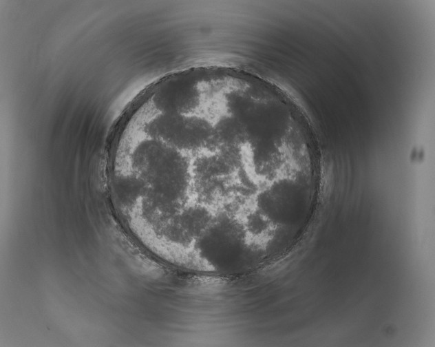 X0000111640878200908071339