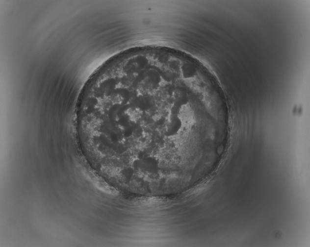 X0000111640879200908071339