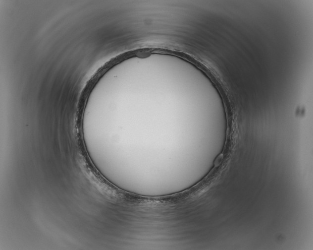 X0000111640880200908071339