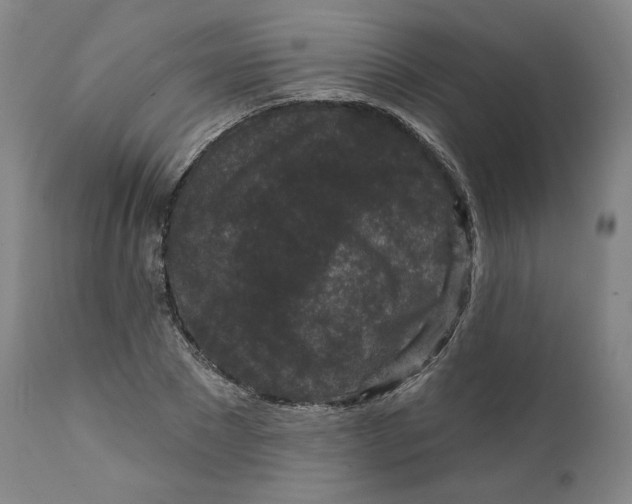 X0000111640881200908071339