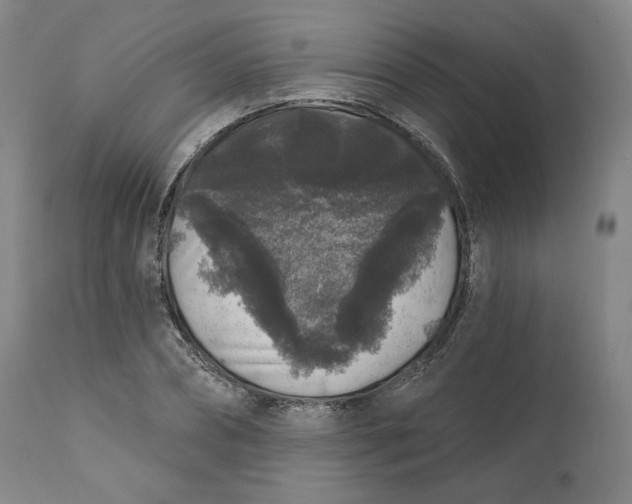 X0000111640882200908071339