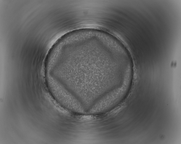 X0000111640883200908071339