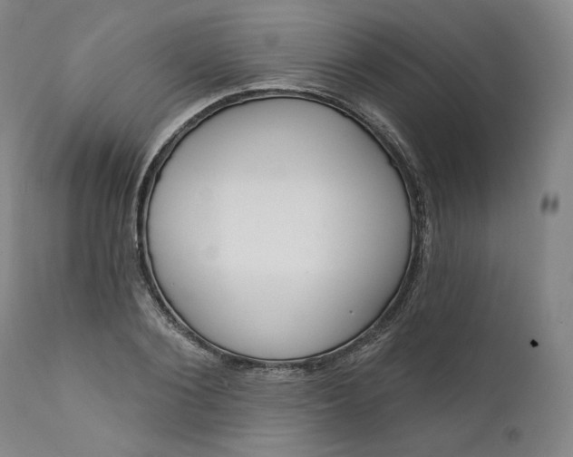 X0000111640884200908071339