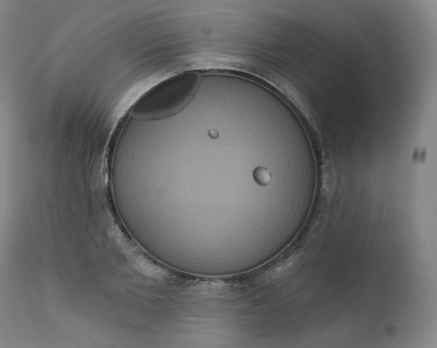 X0000111640885200908071339